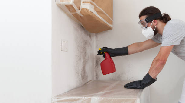 Professional Crawl Space Mold Removal technician working in Butler, NJ
